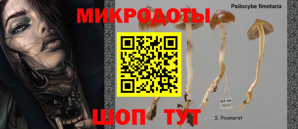 Елец  Псилоцибиновые грибы Psilocybine cubensis  Вход с VPN  Галлюциногенные грибы MAGIC MUSHROOMS 